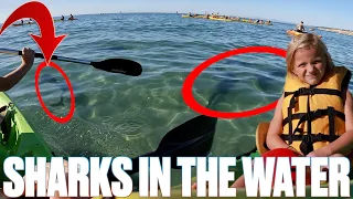 SWIMMING WITH SHARKS | SIX-YEAR-OLD KAYAKS THROUGH SHARK INFESTED WATERS