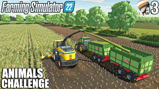 I Started the SILAGE PRODUCTION | ANIMALS Challenge | Farming Simulator 22