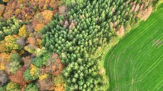 Herbst in der Süd Eifel Footage Dji mini 3 pro