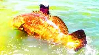 Shocking Fishing Moments Caught On Camera # BIGGEST Fish Ever Caught