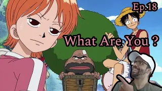 Weird Man In The Chest | One Piece REACTION Episode 18