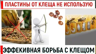 Пластины от клеща не использую! Зимовка 100%. Эффективная борьба с клещом.