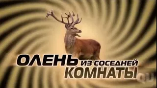 !!!!!!!!!!!!!!!!!ОЛЕНЬ из БУДУЩЕГО!!!!!!!!!!!!!!!