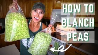 How To Blanch Peas | Blanch Peas for Freezing