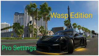 The Crew 2 Porsche Cayman GT4 Wasp Edition Pro Settings