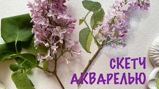 Скетч акварелью ❤️ Рисуем Сирень с натуры 🌿 Watercolor sketching