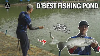 Casting Barramundi At D'BEST Fishing Pond !! - EP97