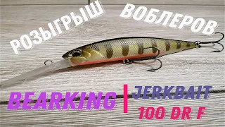 Копия DUO Realis Jerkbait 100 DR от Bearking обзор+ розыгрыш (Рыбалка 2020)