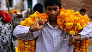 Nadaan Parindey Ghar aaja - Rockstar [2011]