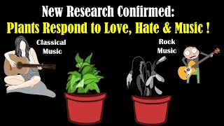 How Music Affects Plant Growth - How Plants React to Bullying, Hate and Love - Experiments on Plants