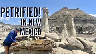 Uncovering the Mysteries of Bisti De-Na-Zin: A Wilderness Adventure in New Mexico