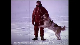 Extinct Argentine Polar Dog Footage (Perro Polar Argentino)