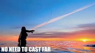 The more I understand sea trout fishing, the shorter I cast