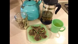 Turkey Tail Mushrooms ~ Hunt, Identify, Dehydrate, Making Tea !!! ~ Minnesota Mushrooms