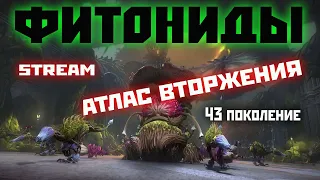 Skyforge: прилетели Фитониды, атлас 43 поколение (стрим №4). 2023.