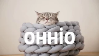 THE COZIEST CAT BED EVER — BY OHHIO