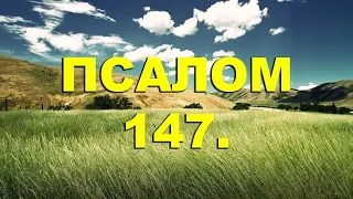 Псалтирь. ПСАЛОМ 147. [рус.]