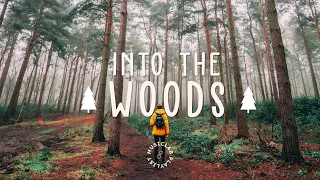 Into The Woods 🌲 - A Mysterious Indie/Folk/Acoustic Compilation ~ Music Lab Playlist