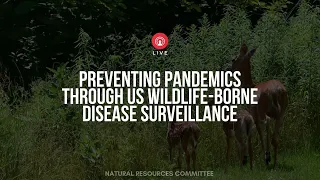 Preventing Pandemics through US Wildlife-borne Disease Surveillance