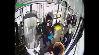 В Москве доставщик пиццы заехал в трамвай на мопеде