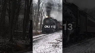 CNJ 113