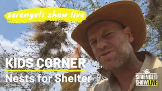 KIDS CORNER - Nests for Shelter