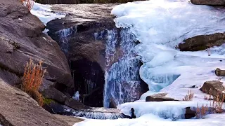 Doğa bize kucak açtı, bizi bağrına bastı, şefkat gösterdi, doğaya bizde sevgisiz kalmayalım