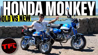 Honda Monkey Old vs New: Has Honda Improved The Monkey After 50 Years?