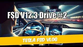 🚗✨ Tesla FSD 12.3 Drive #2: TACC & Smooth Sailing & New Discoveries | Tesla Vlog 🌐An Honest Review