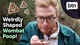 Why is Wombat Poo Cube Shaped? - Behind the News