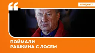 Поймали Рашкина с лосем | Подкаст «Цитаты Свободы»