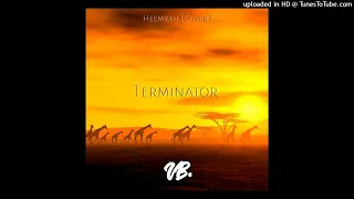 Heemrah - Terminator ( Vanboii Remix ) (Cover)_2023 AfroChill Remix