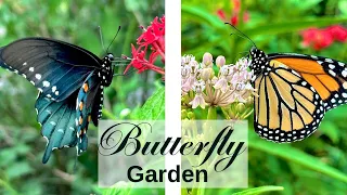 Spend the Weekend With Me in my Garden, Chasing Butterflies, Staking Plants and Exploring