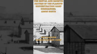 The brutal and sadistic nature of the Plaszow concentration camp commander: Amon Goeth #shorts #wwii