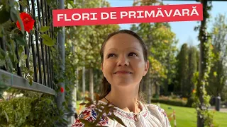 Flori de primăvară în limba română. Весенние цветы на румынском языке.