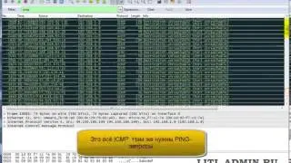 Фильтрация трафика в WireShark