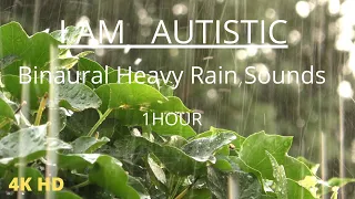 Autism, ADHD and Aspergers Calm Sensory Relaxing Music: 1Hour Binaural Heavy Rain Sounds for Sleep