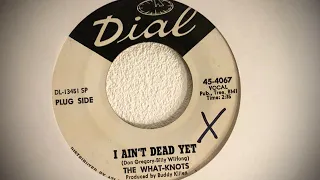 The What-Knots - I Ain't Dead Yet (1968 / Dial / US garage psych rock)