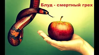 Почему блуд является смертным грехом