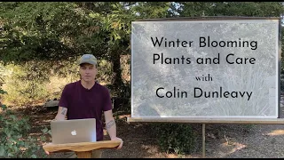 Winter Blooming Plants and Care
