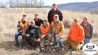 Chukar and Pheasant Hunting at Martz's Game Farm