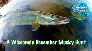 A Wisconsin December Musky Hunt