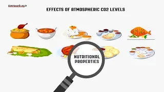 Climate Change Effects- Know How Climate Change is Making Our Food Less Nutritious?