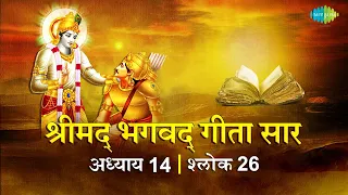 भगवद गीता सार अध्याय 14 श्लोक 26with lyrics | Bhagvad Geeta Chapter 14 sholk 26| Shailendra Bharti