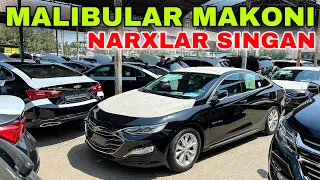 MALIBU NARXLARI. SERGELI MOSHINA BOZORI 2023. Малибу нархлари Сергели машина бозори