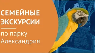 Петергоф запускает семейные экскурсии по парку "Александрия"