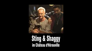 Sting & Shaggy - Wasn't Me - Château d'Hérouville