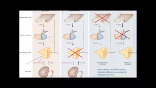 The Many Faces of Adrenal Insufficiency