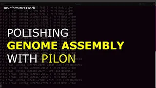 Pilon tutorial for polishing nanopore assembly