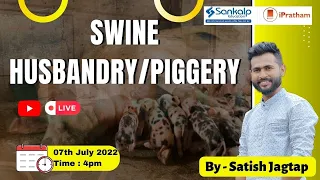 Swine husbandry / Piggery || Free Agriculture Session || Satish Jagtap